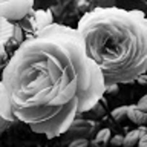 Meet your Posher, Claire